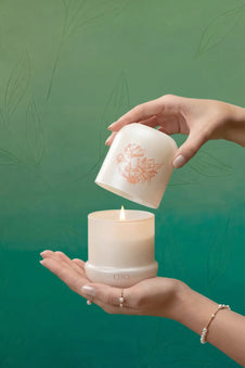 Blissful Magnolia