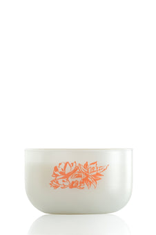 Blissful Magnolia 6.75 oz