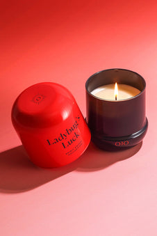 Ladybug’s Luck