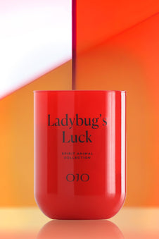 Ladybug's Luck 13 oz