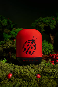 Ladybug’s Luck