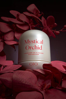 Mystical Orchid
