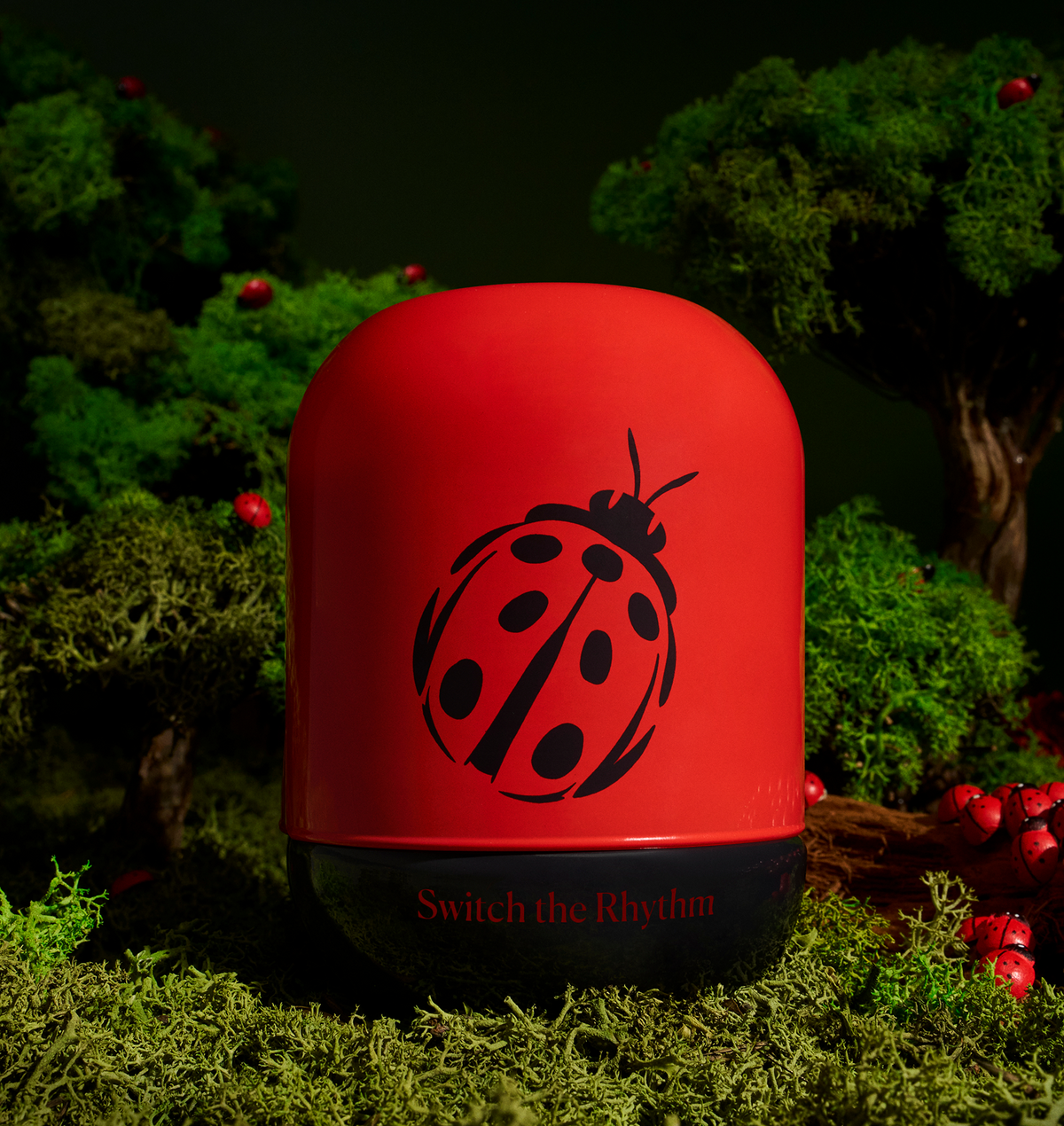Ladybug’s Luck